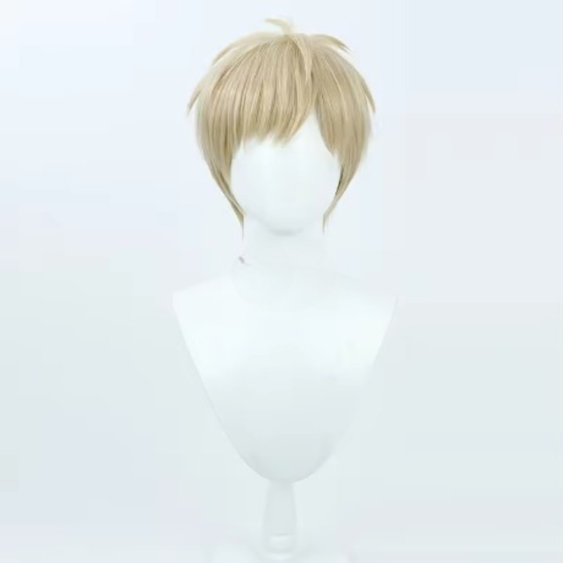 Perruque courte One-Punch Man  - Anime Cosplay One Punch Man avis et prix