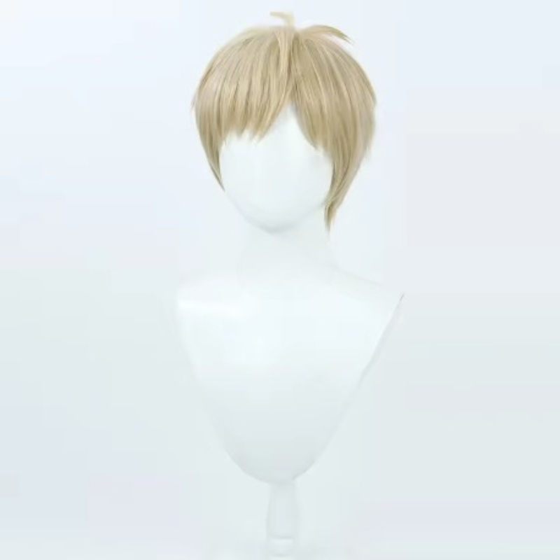 Perruque courte One-Punch Man  - Anime Cosplay One Punch Man avis et prix