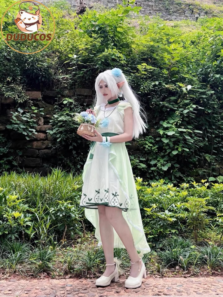 Anime Frieren: au-delà du voya - Anime Cosplay Wig avis et prix